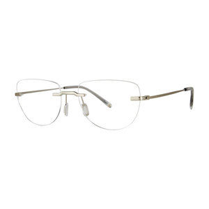 Paradigm Hoffman Eyeglasses Silver 53mm